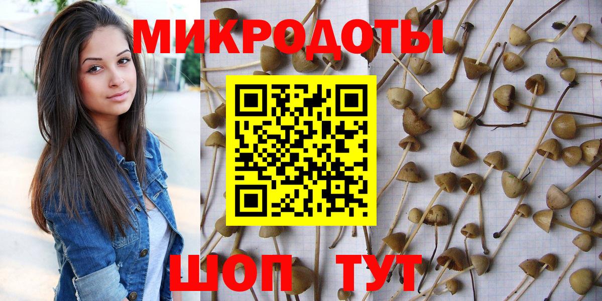 Галлюциногенные грибы MAGIC MUSHROOMS Майский
